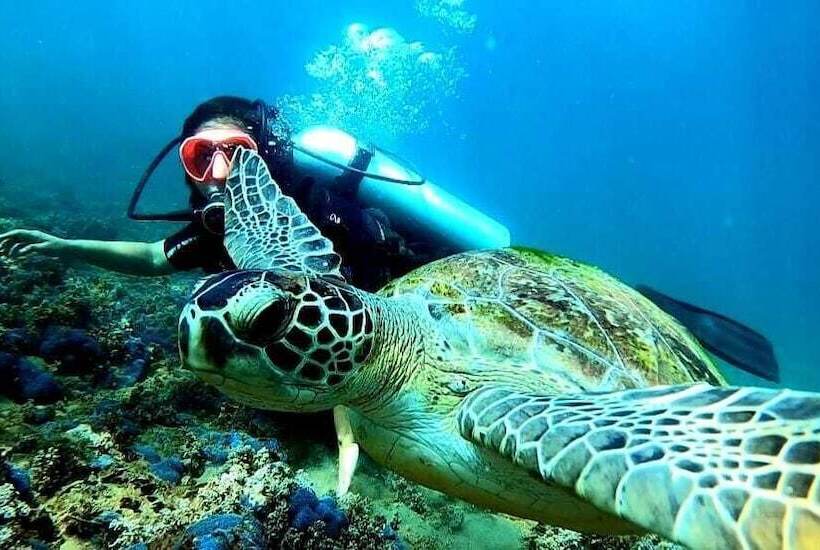 호스텔 Vila Barra Porto