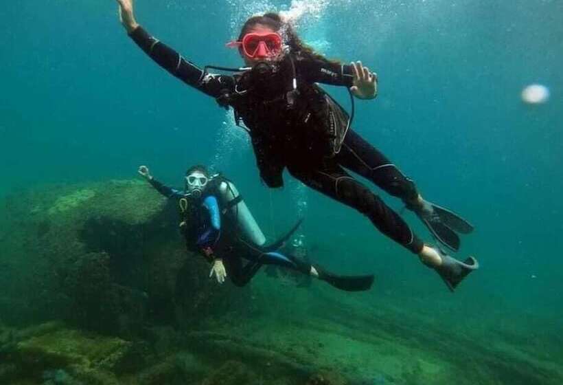 호스텔 Vila Barra Porto