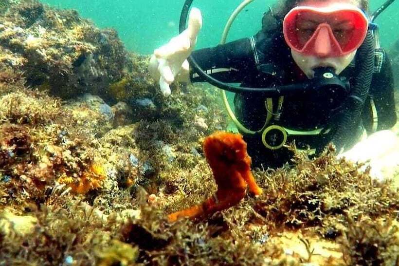 호스텔 Vila Barra Porto