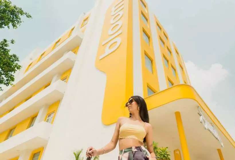 Bloom Hotel   Sector 62