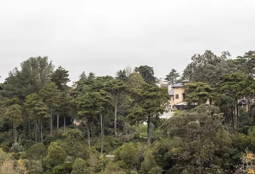 Hotelli Sintra Marmoris Camelia