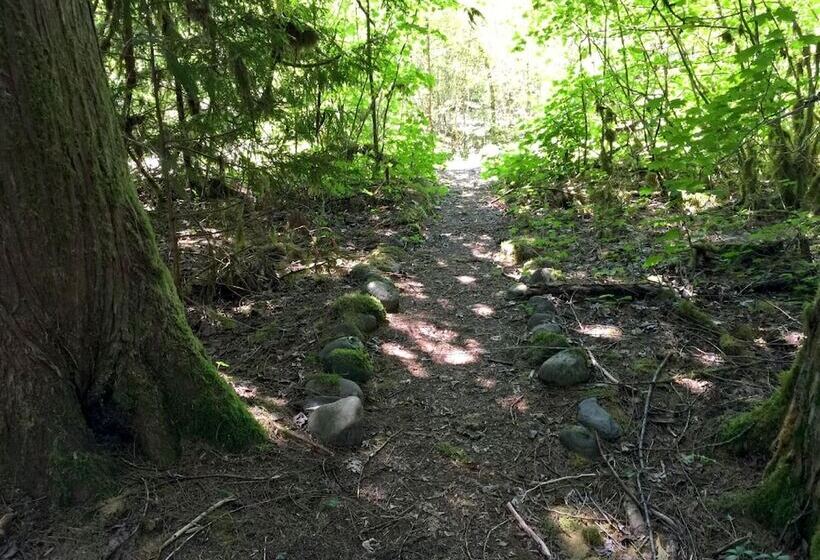 Mt Baker Lodging Cabin 79   Sleeps 8