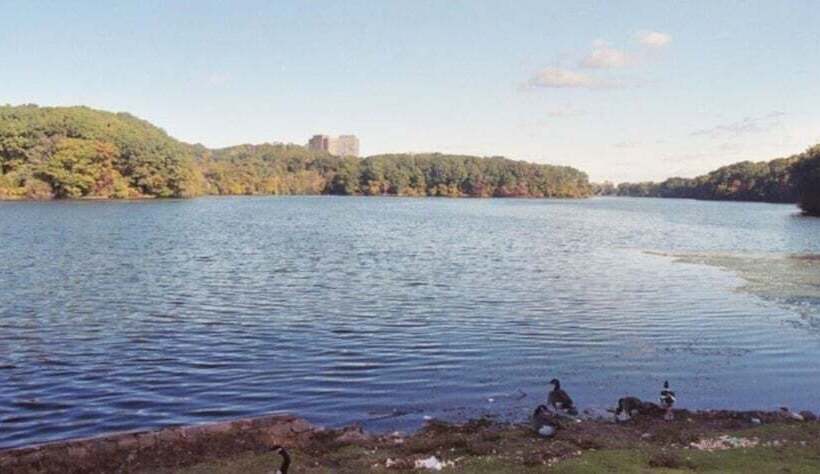 膳宿费 Newark Hansbury Multi Level House