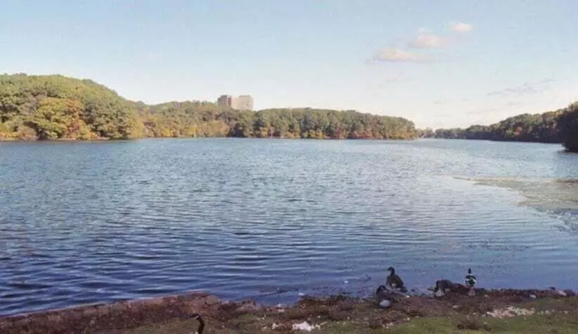 پانسیون Newark Hansbury Multi Level House