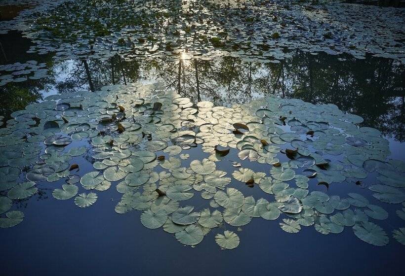 پانسیون Pikol Lake Village Premium Glamping