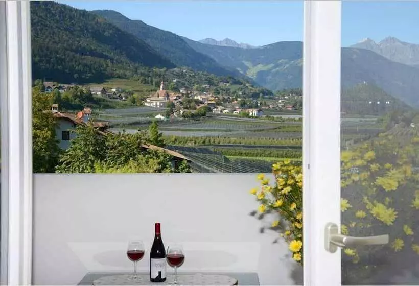 Pension Felsenegg