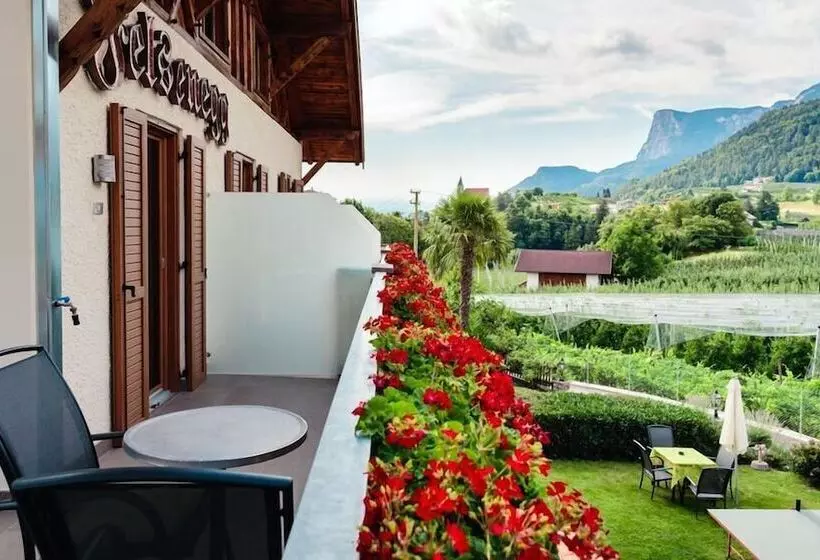 Pension Felsenegg