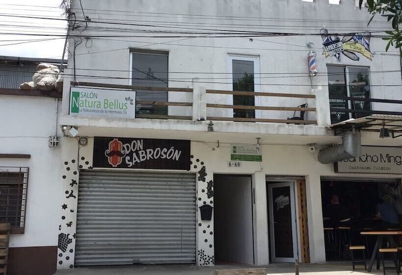 هاستل Luxury 24