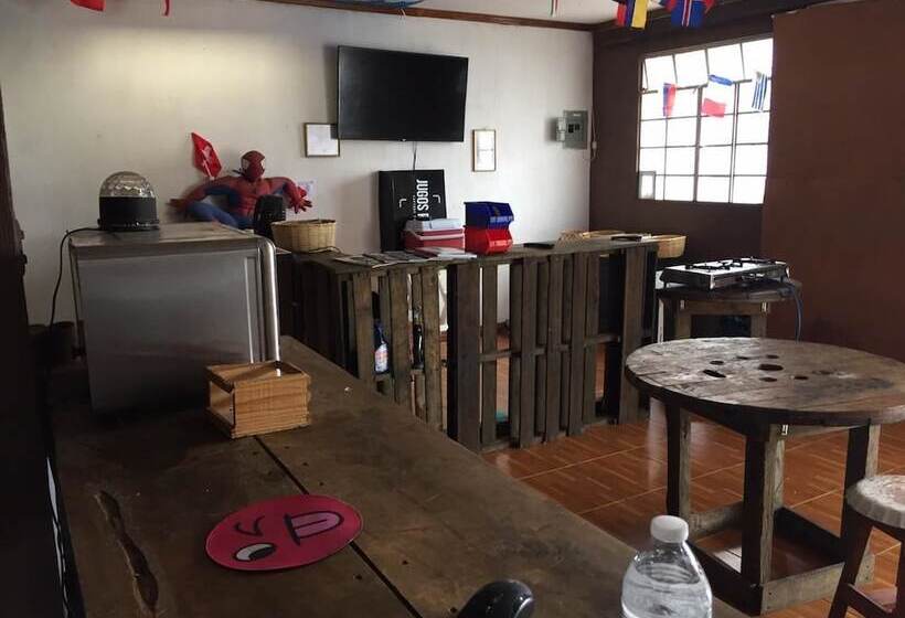 هاستل Luxury 24