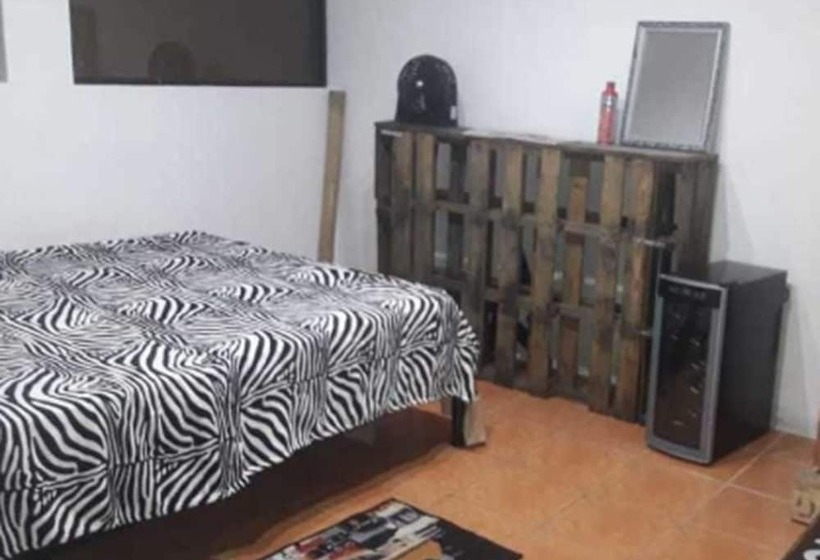 هاستل Luxury 24