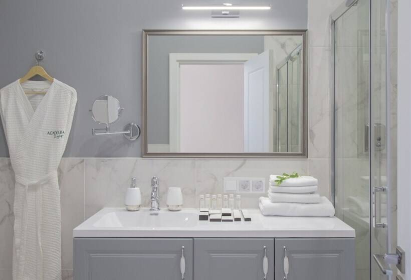 Boutique Hotel Academia Vasilievsky