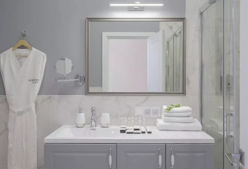 Boutique Hotel Academia Vasilievsky