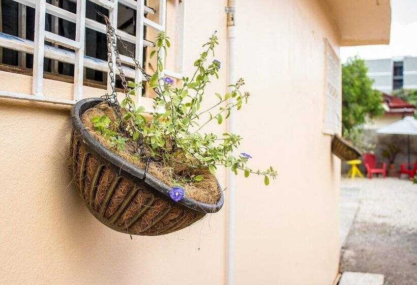 Eventuality Bed And Breakfast