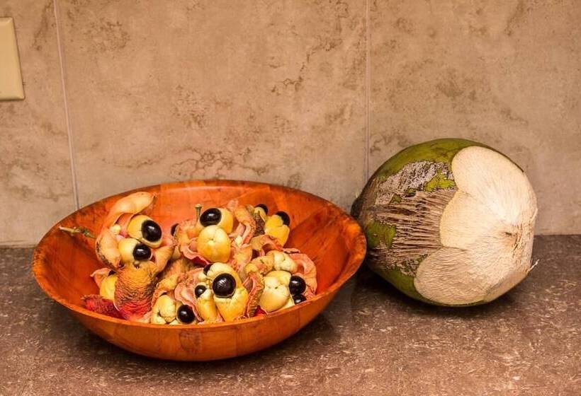 Eventuality Bed And Breakfast