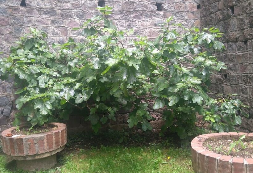 Home Of David S Friends B&b Hostel