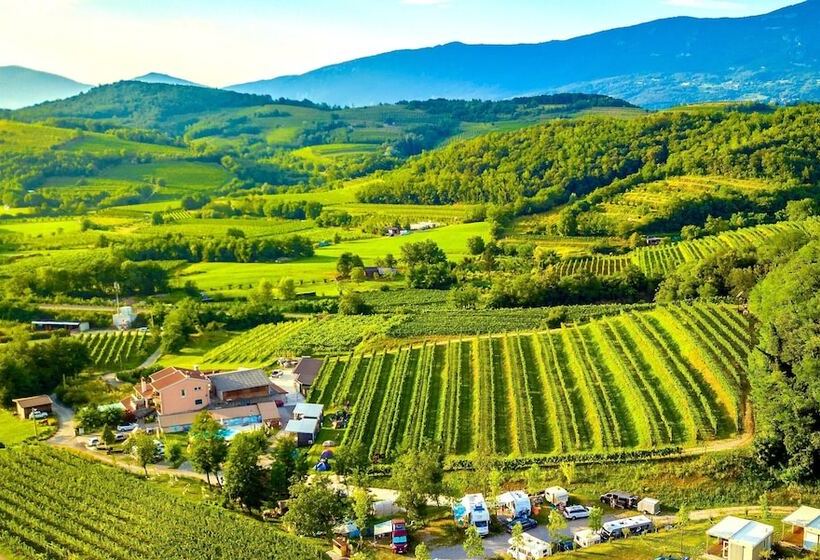 هتل Saksida Holiday Park