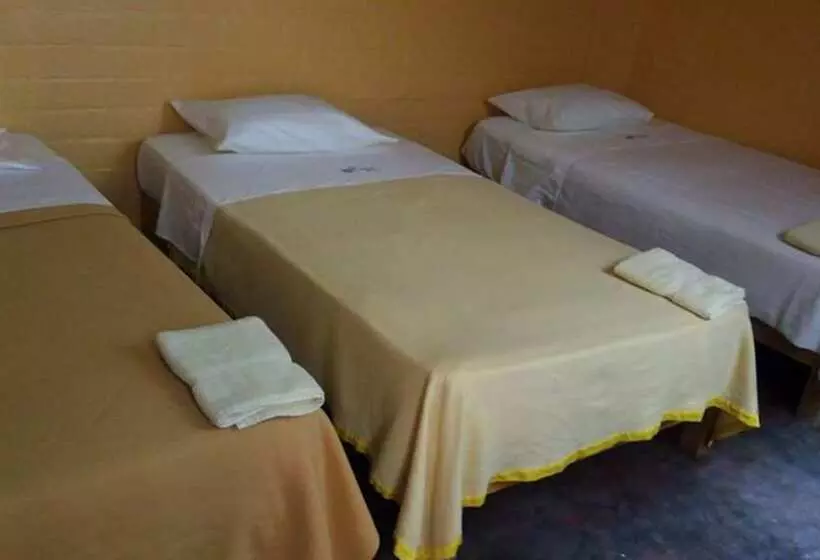 ペンション Hospedaje El álamo Playa Pulpos