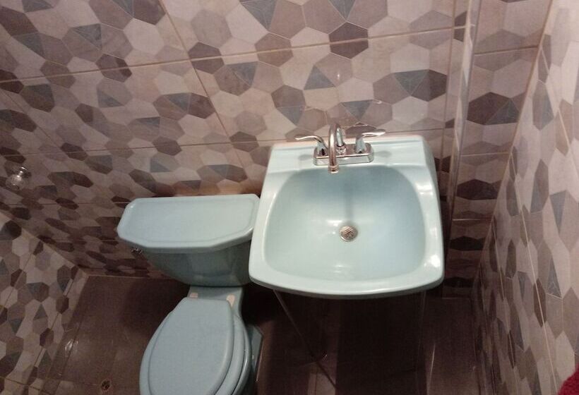 پانسیون Sucexco