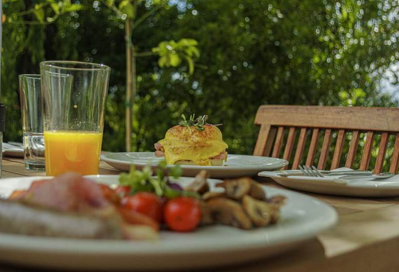 پانسیون Vrede En Lust Wine Estate