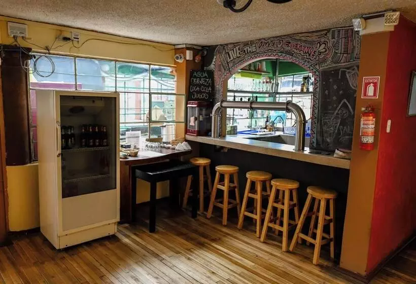 Vibes Hostel