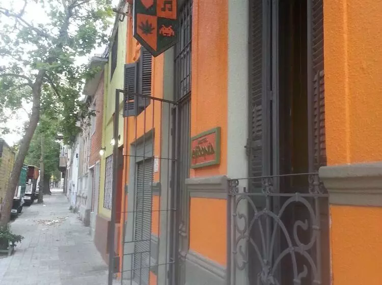 Ejidonia Hostel