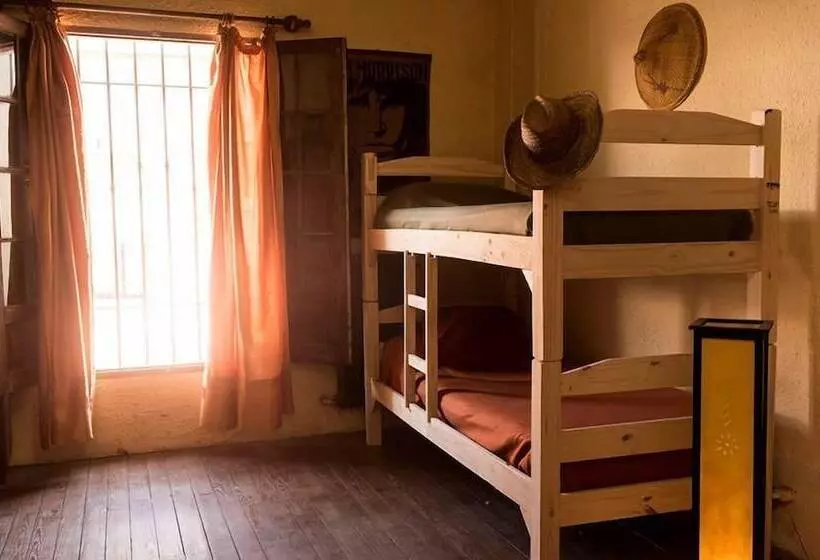 Ejidonia Hostel