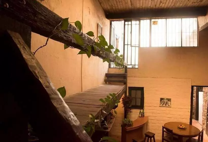 Ejidonia Hostel