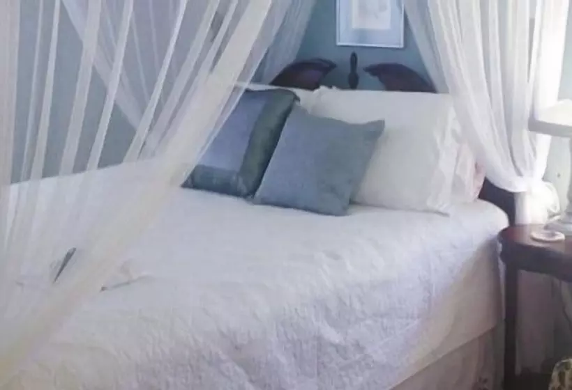 Elevate Rooms Harmony House B&b