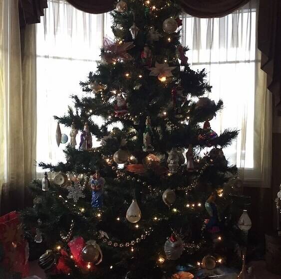 Elevate Rooms Harmony House B&b