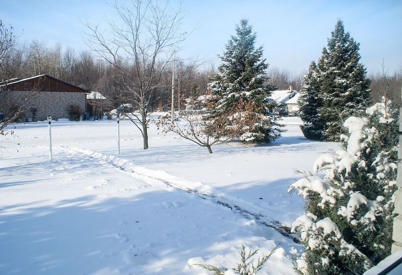 High Trees Bed & Breakfast