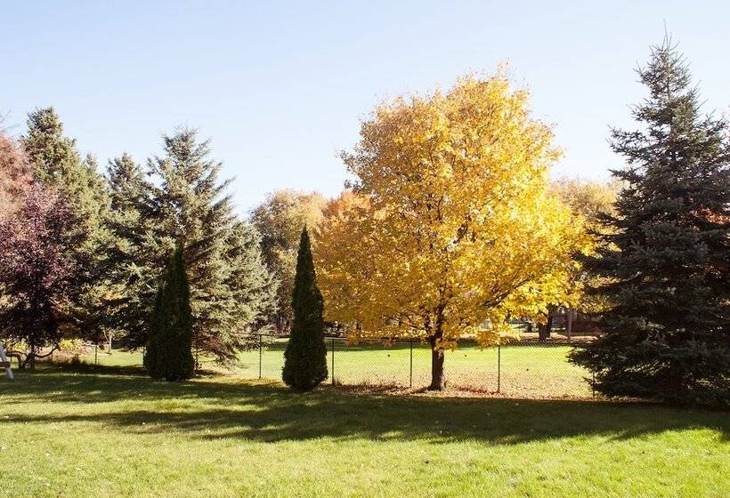 High Trees Bed & Breakfast