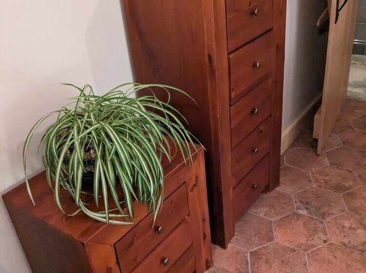 ホテル Eco Indigo