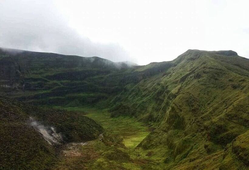 هتل Gingerbread Suites