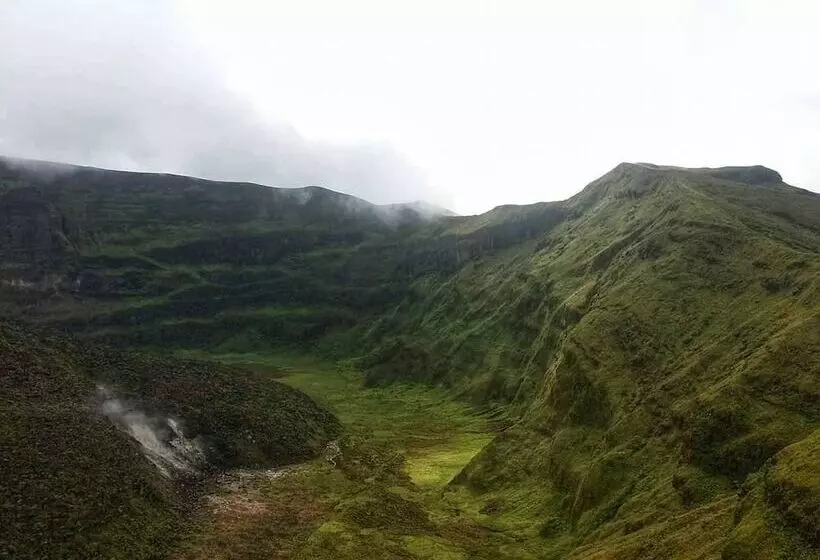 هتل Gingerbread Suites