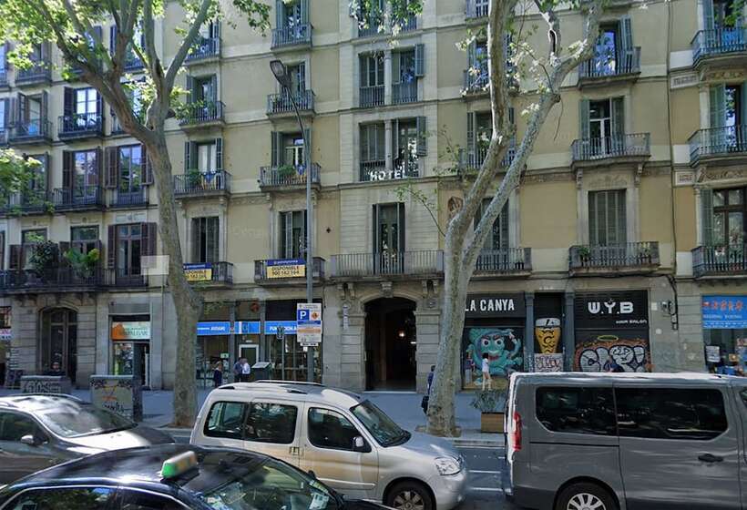 هتل The Mohouse Boutique Room