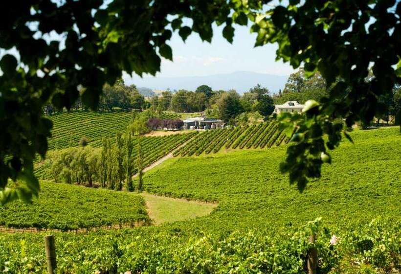 Lucy S Cottage Healesville