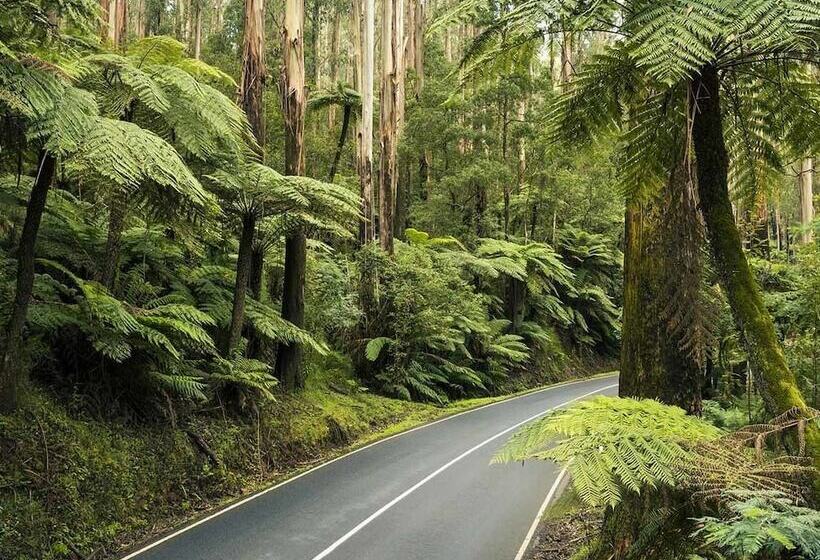 Lucy S Cottage Healesville
