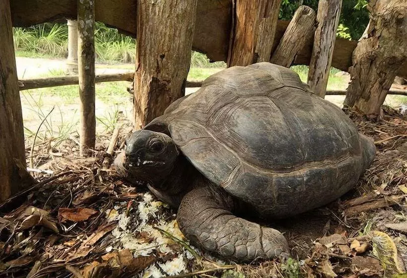 Majatalo Omusee Guesthouse