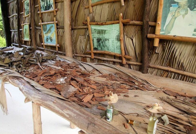 پانسیون Omusee Guesthouse