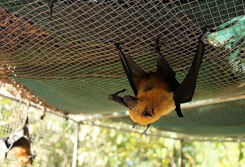 پانسیون Omusee Guesthouse