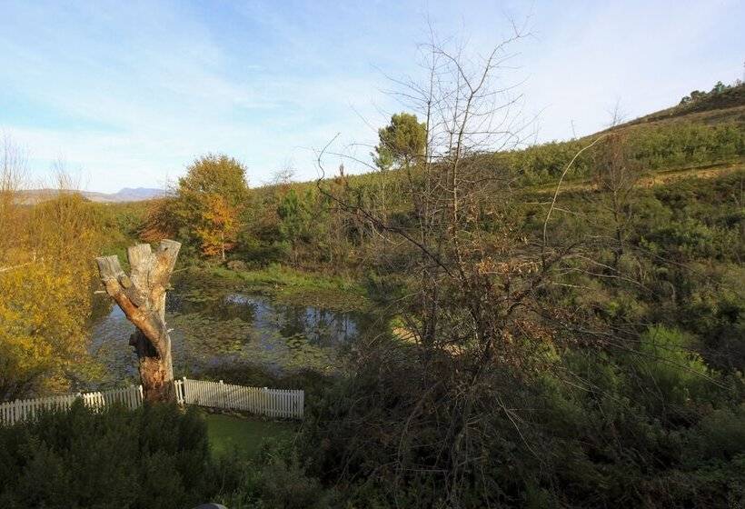 منتجع Old Mac Daddy