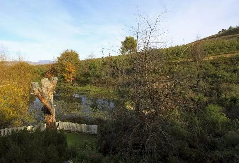 Lomakeskus Old Mac Daddy