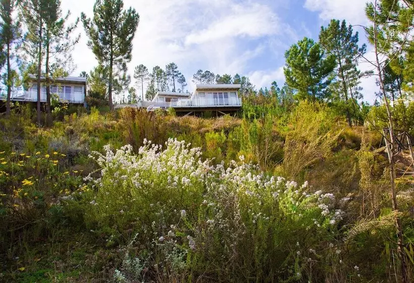 Lomakeskus Old Mac Daddy