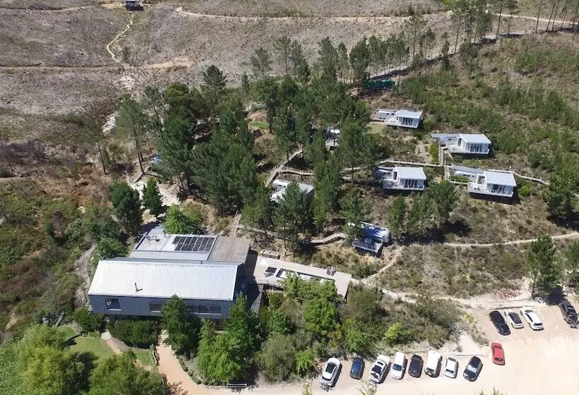 Lomakeskus Old Mac Daddy