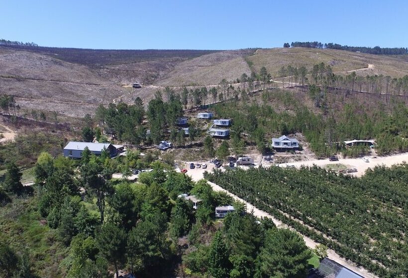 منتجع Old Mac Daddy