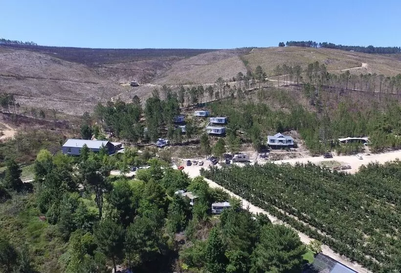 Lomakeskus Old Mac Daddy