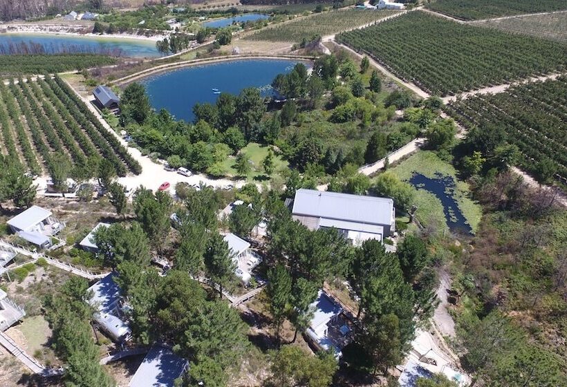 منتجع Old Mac Daddy