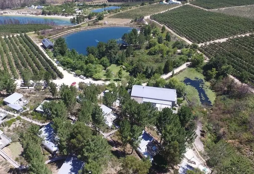 Lomakeskus Old Mac Daddy