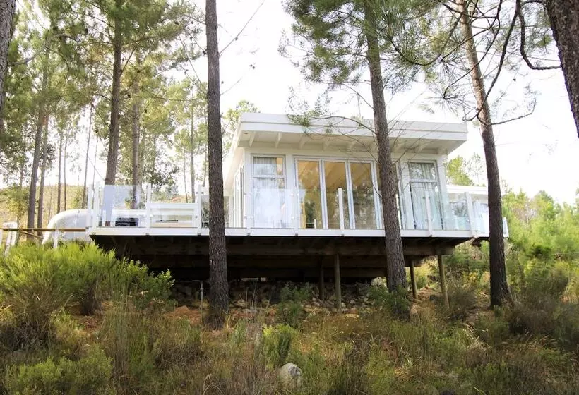 Lomakeskus Old Mac Daddy