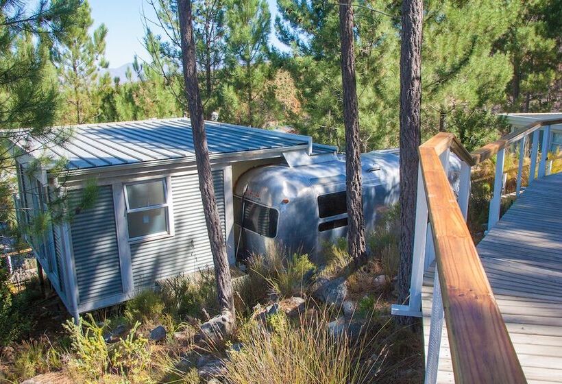 منتجع Old Mac Daddy